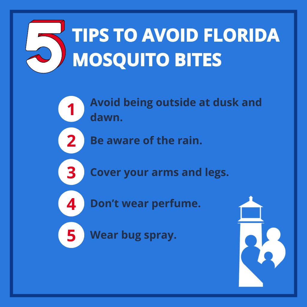 Infographic: Florida Bug Bites: 3 Local Insects and How to Deal With Them