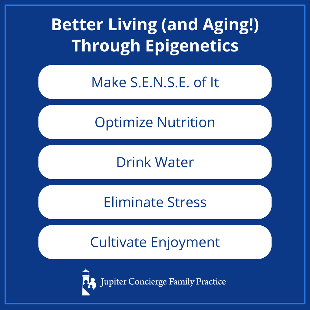 Infographic: Epigenetics of Aging and Disease: How to Influence Your Genes