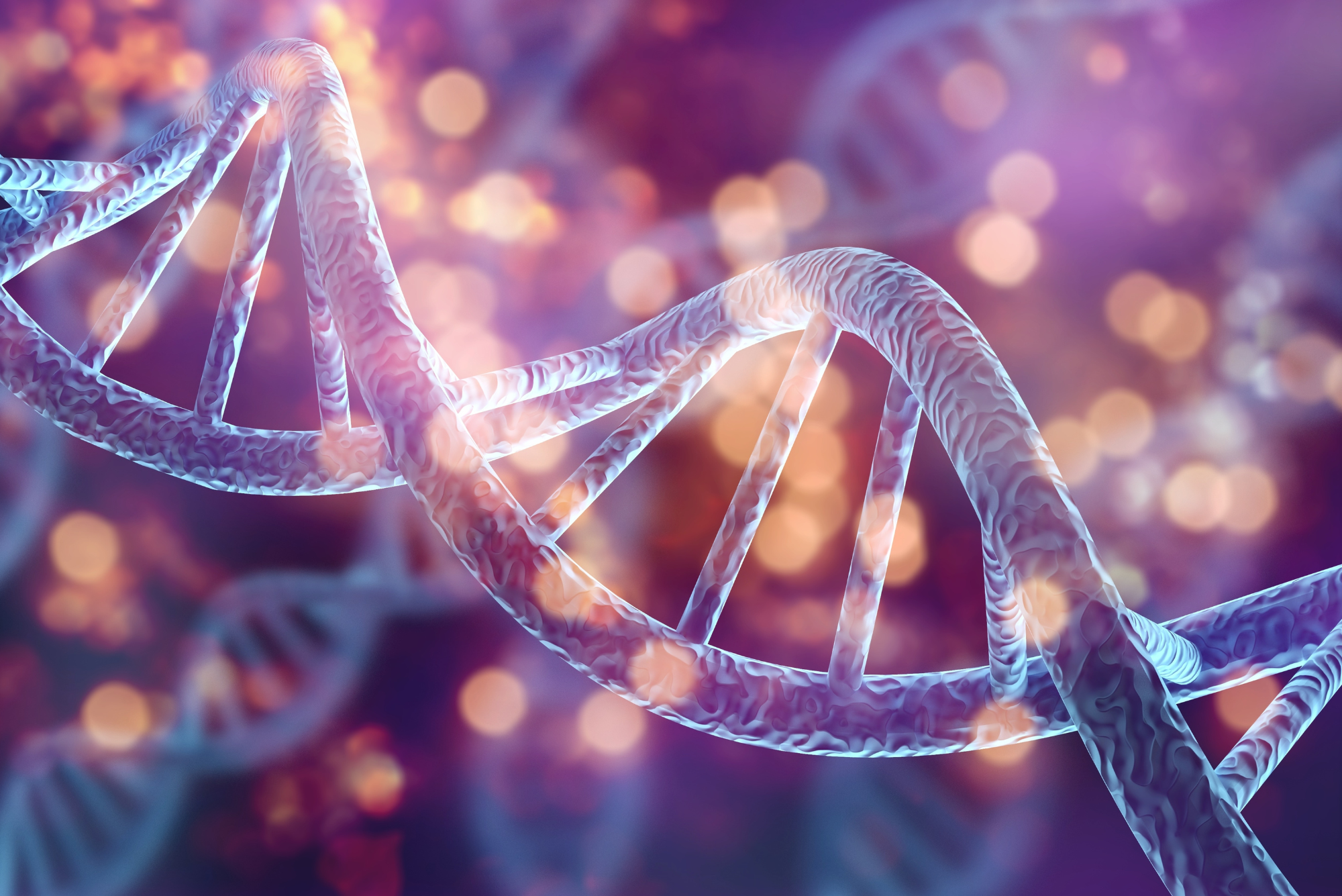 A close up shot of a DNA strand representing the epigenetics of aging.