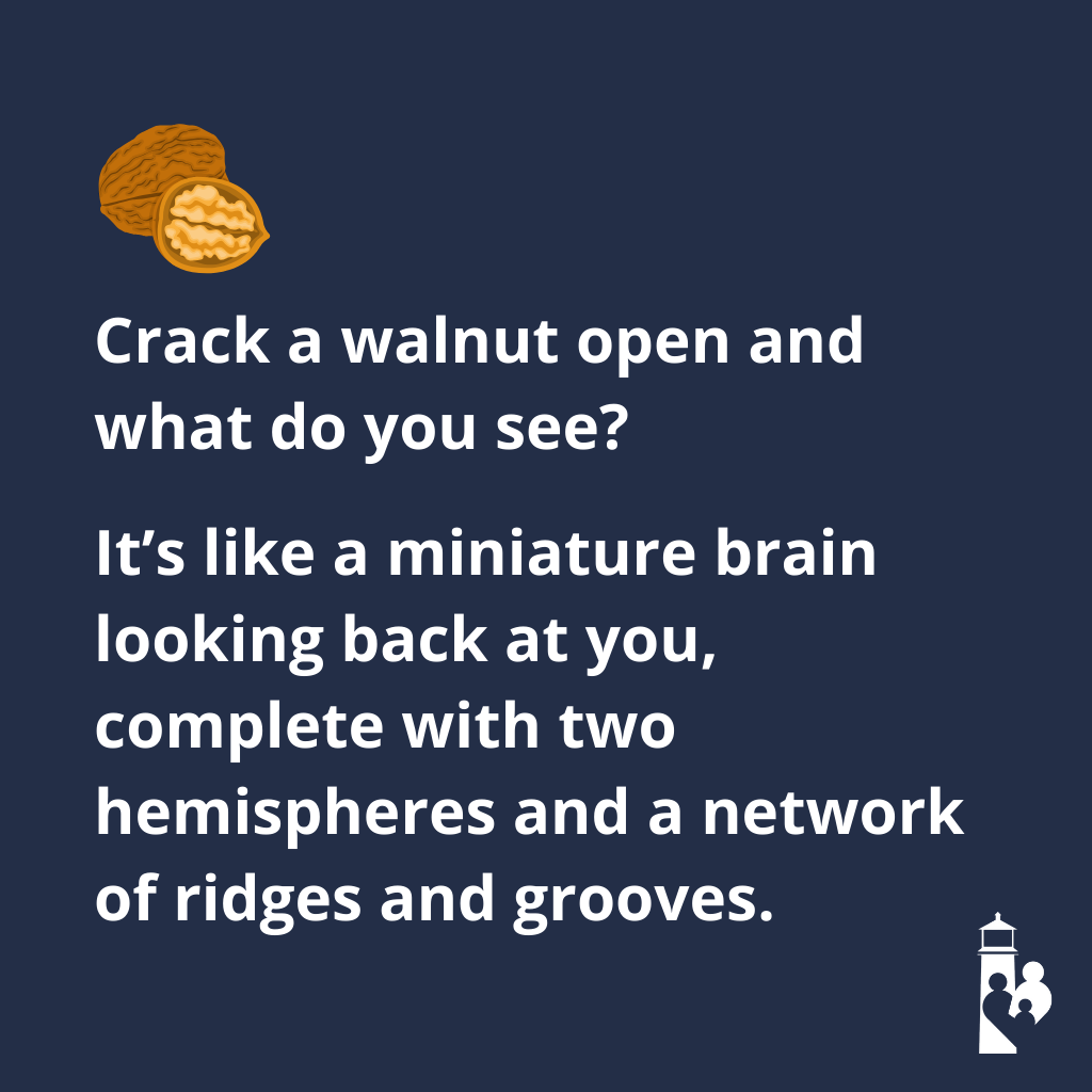 Quote: Nature’s Blueprint: 7 Foods That Look Like the Body Parts They Heal